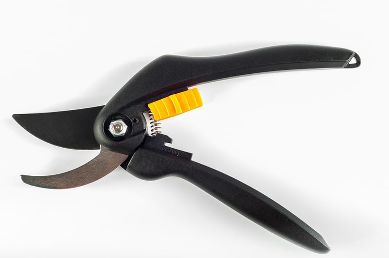 Mythical Pruners