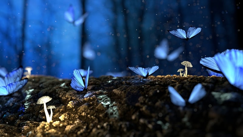 Magical Shrubs